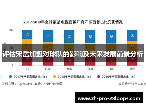 评估宋岳加盟对球队的影响及未来发展前景分析
