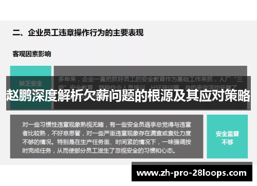 赵鹏深度解析欠薪问题的根源及其应对策略 赵鹏深度解析欠薪问题的根源及其应对策略