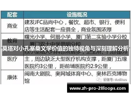 莫塔对小孔塞桑文学价值的独特视角与深刻理解分析