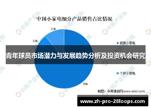 青年球员市场潜力与发展趋势分析及投资机会研究 青年球员市场潜力与发展趋势分析及投资机会研究